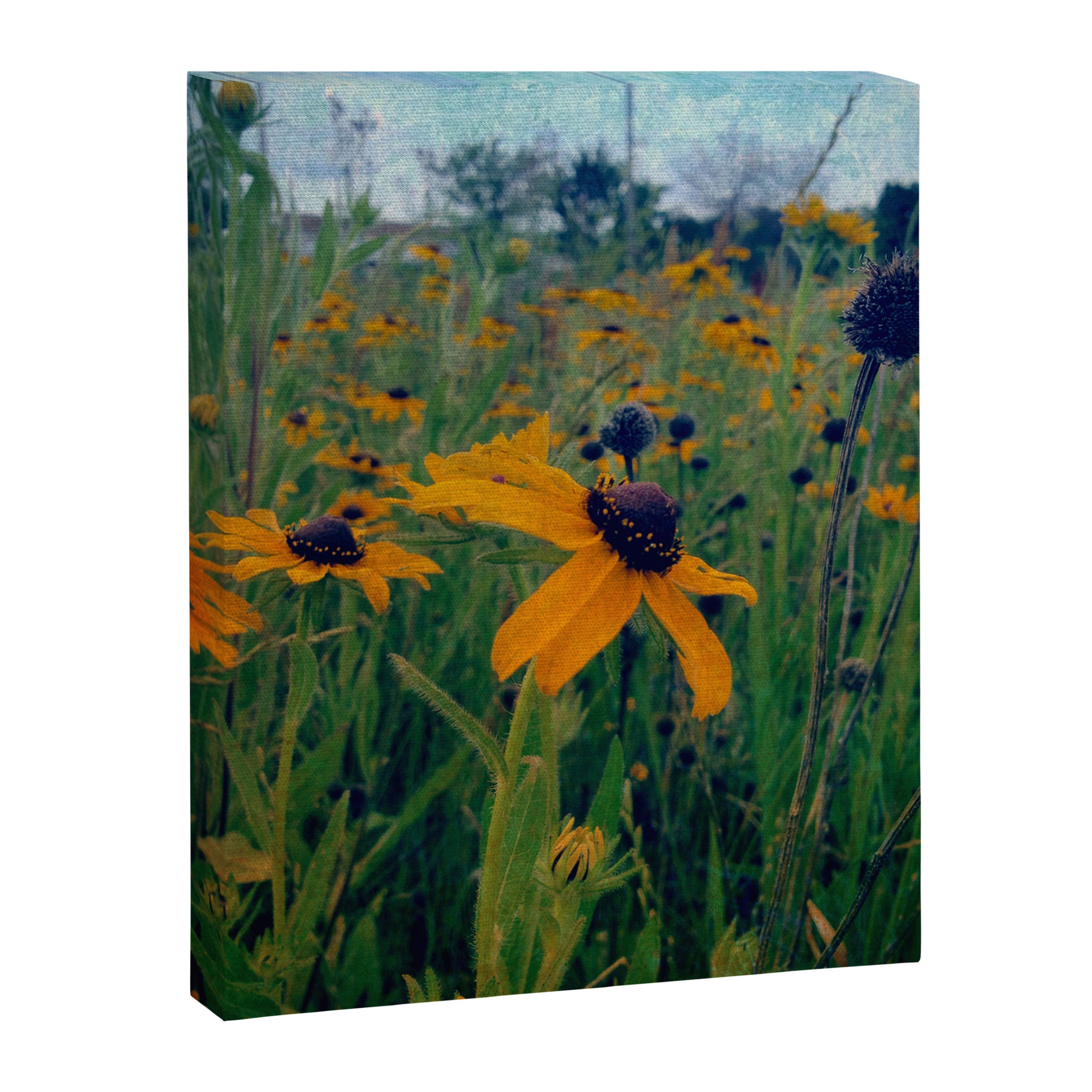 Flower Child Canvas Print Gallery Image 6