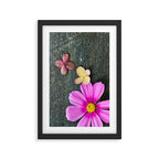 Flowers of Summer Framed Art Print Gallery Image 2