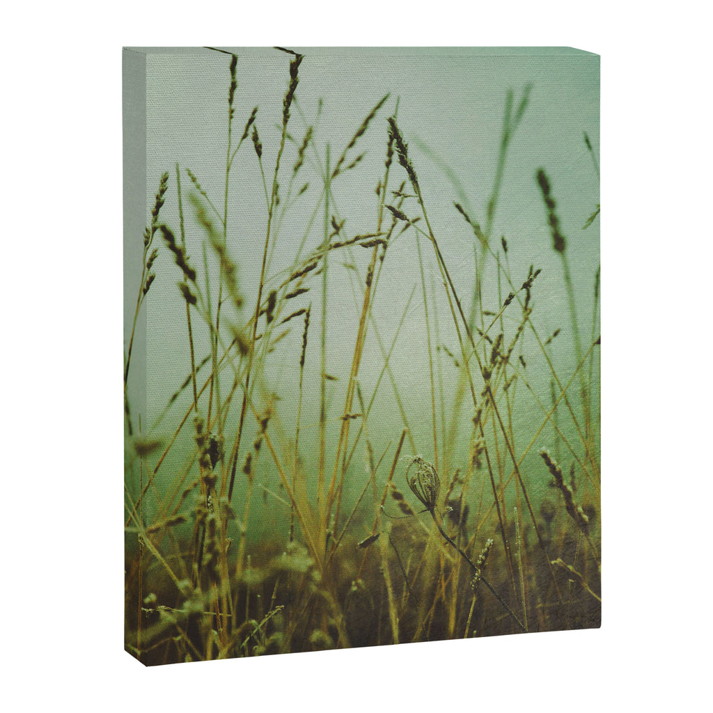Fog Canvas Print Gallery Image 6