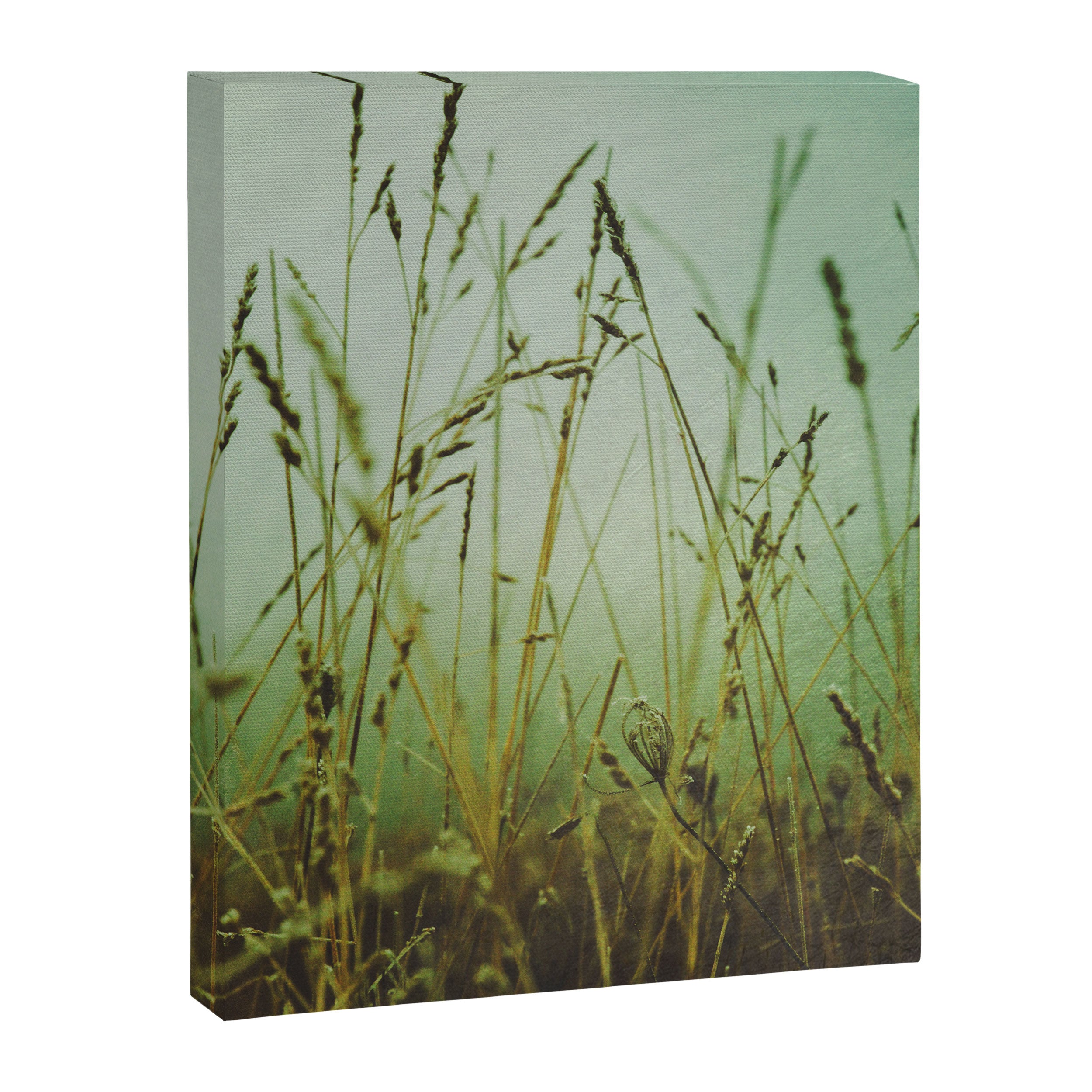 Fog Canvas Print Gallery Image 6