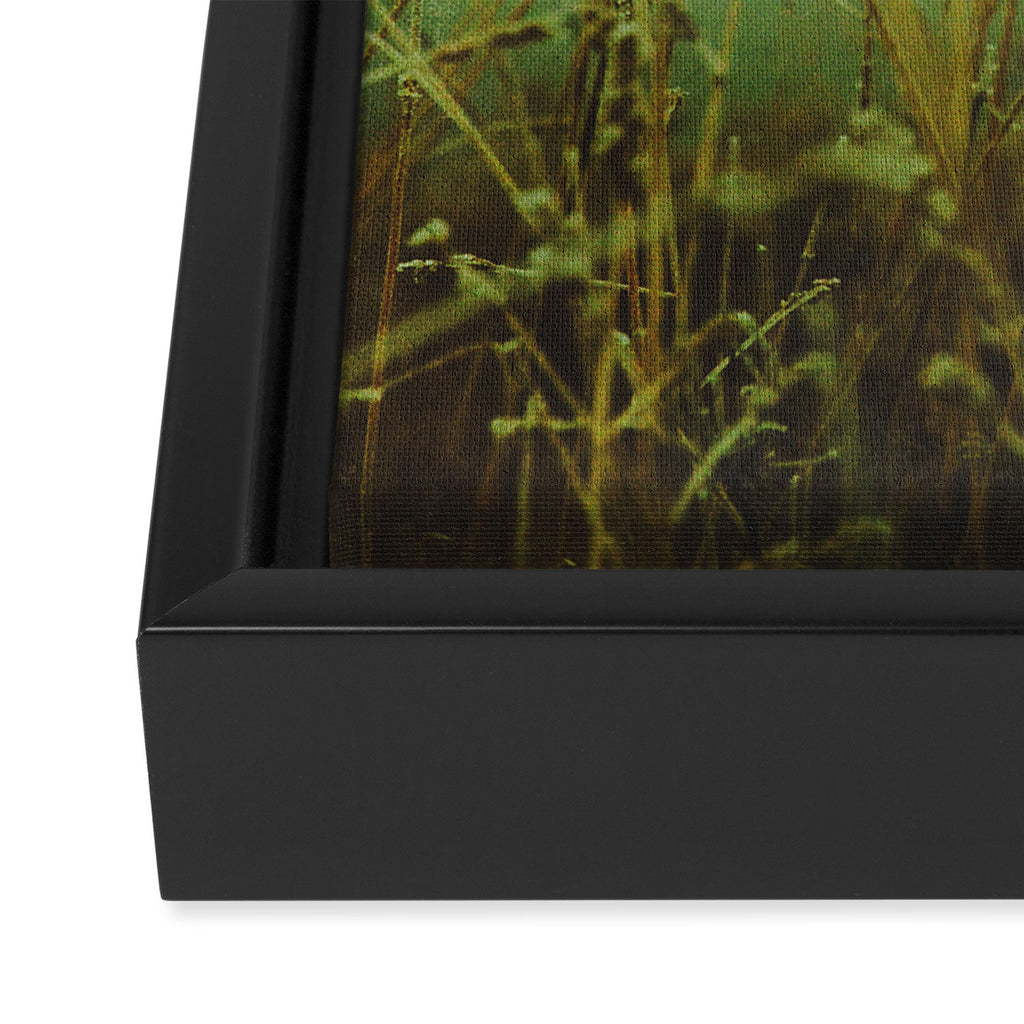 Fog Framed Canvas Print Gallery Image 3