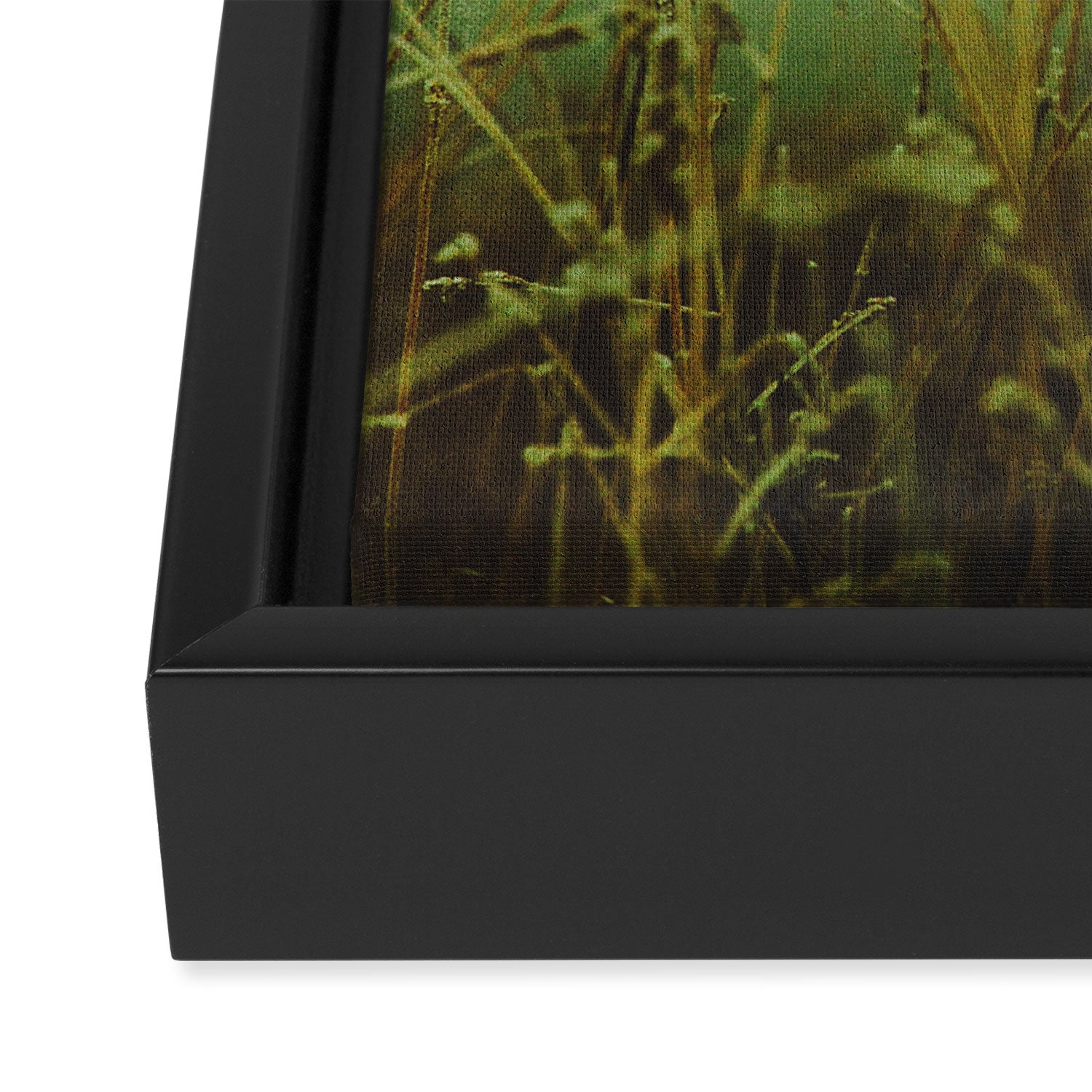Fog Framed Canvas Print Gallery Image 3