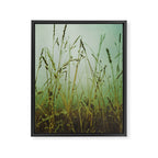Fog Framed Canvas Print Gallery Image 6