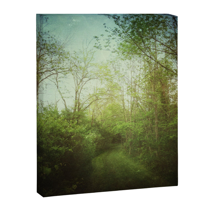 Follow Your Life Path Canvas Print Gallery Image 1