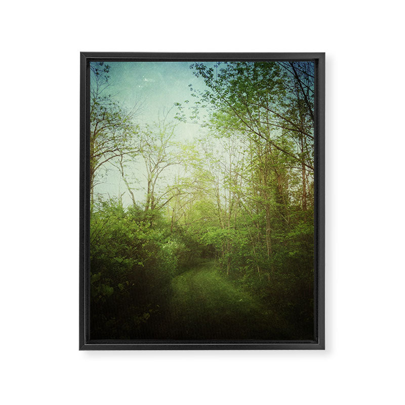 Follow Your Life Path Framed Canvas Print Gallery Image 6