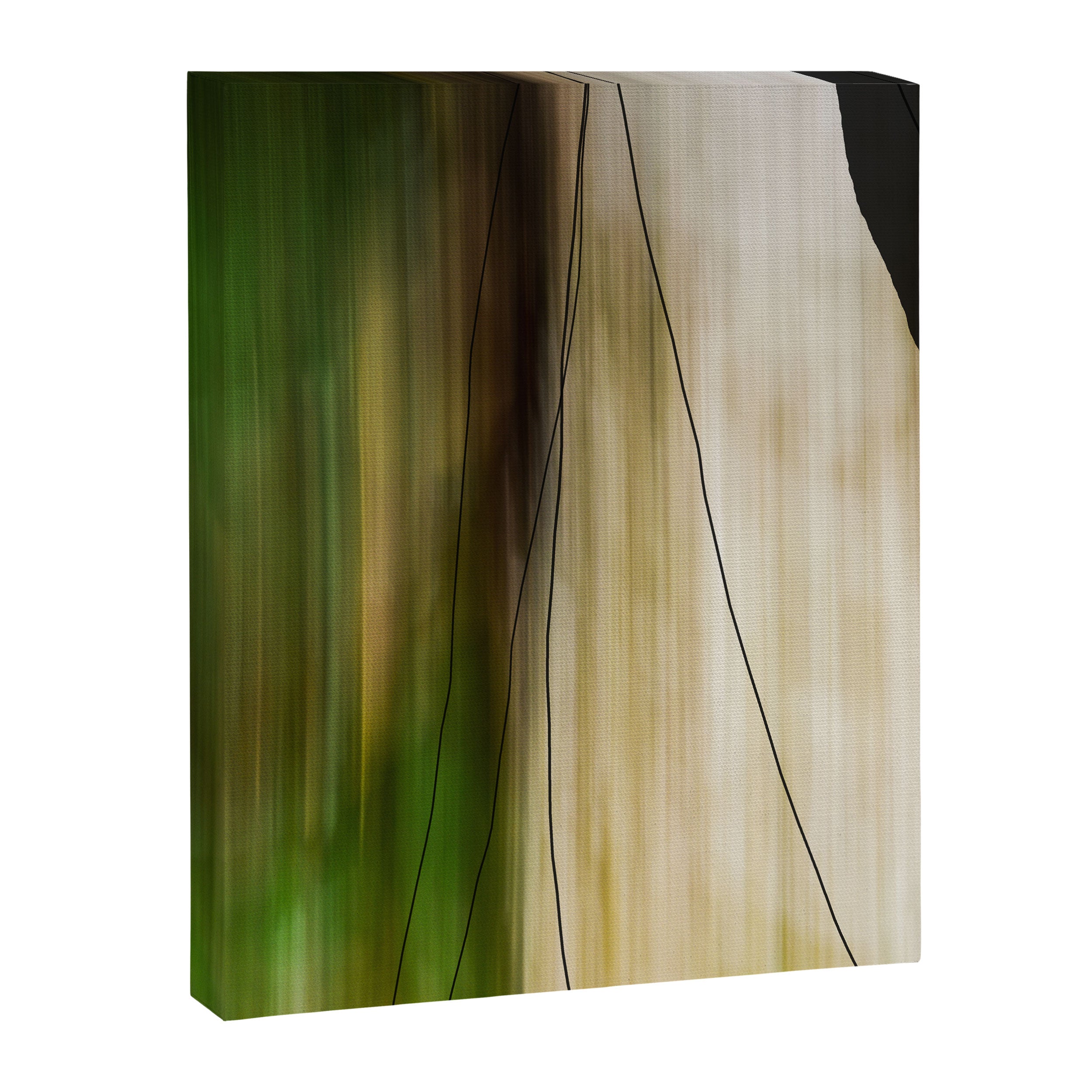 Forest, Water, Lines - abstract nature photograph long explosure Canvas Print Gallery Image 6