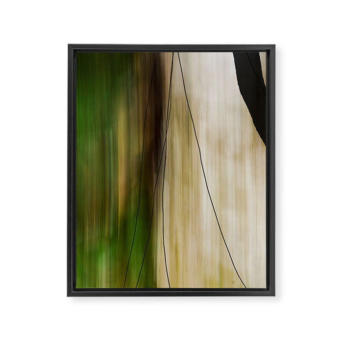 Forest, Water, Lines - abstract nature photograph long explosure Framed Canvas Print Gallery Image 1