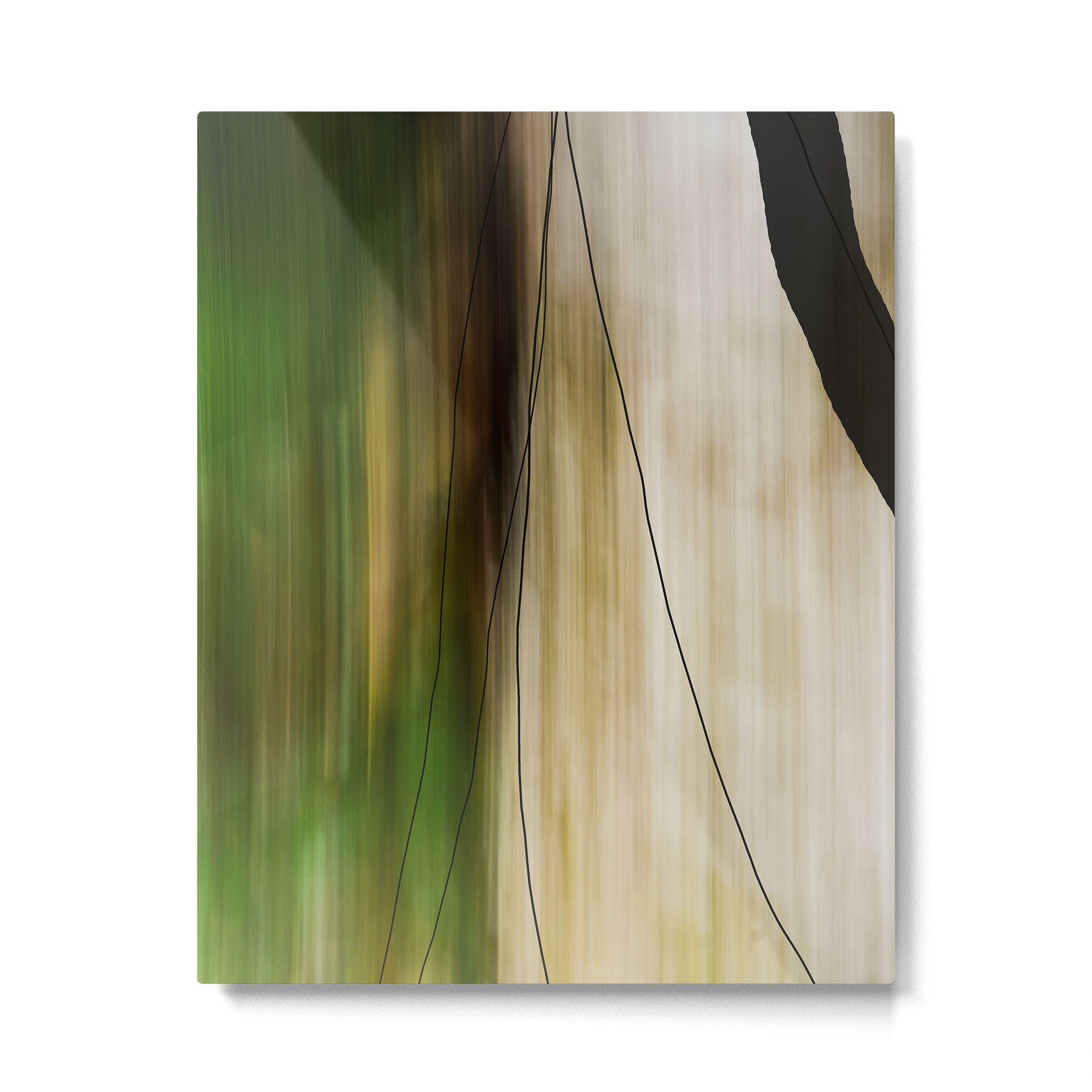 Forest, Water, Lines - abstract nature photograph long explosure Metal Print Gallery Image 4