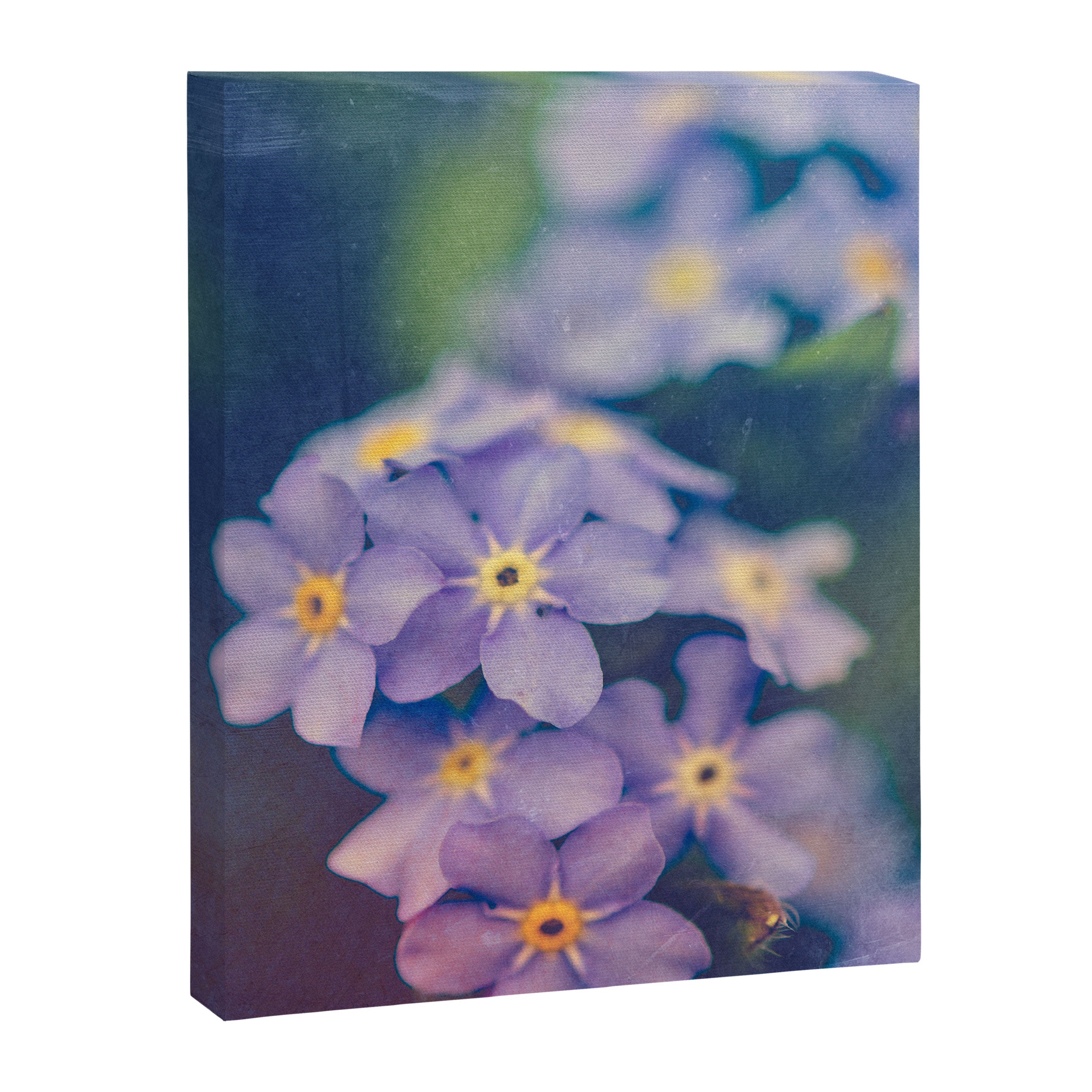 Forget Me Not Canvas Print Gallery Image 6