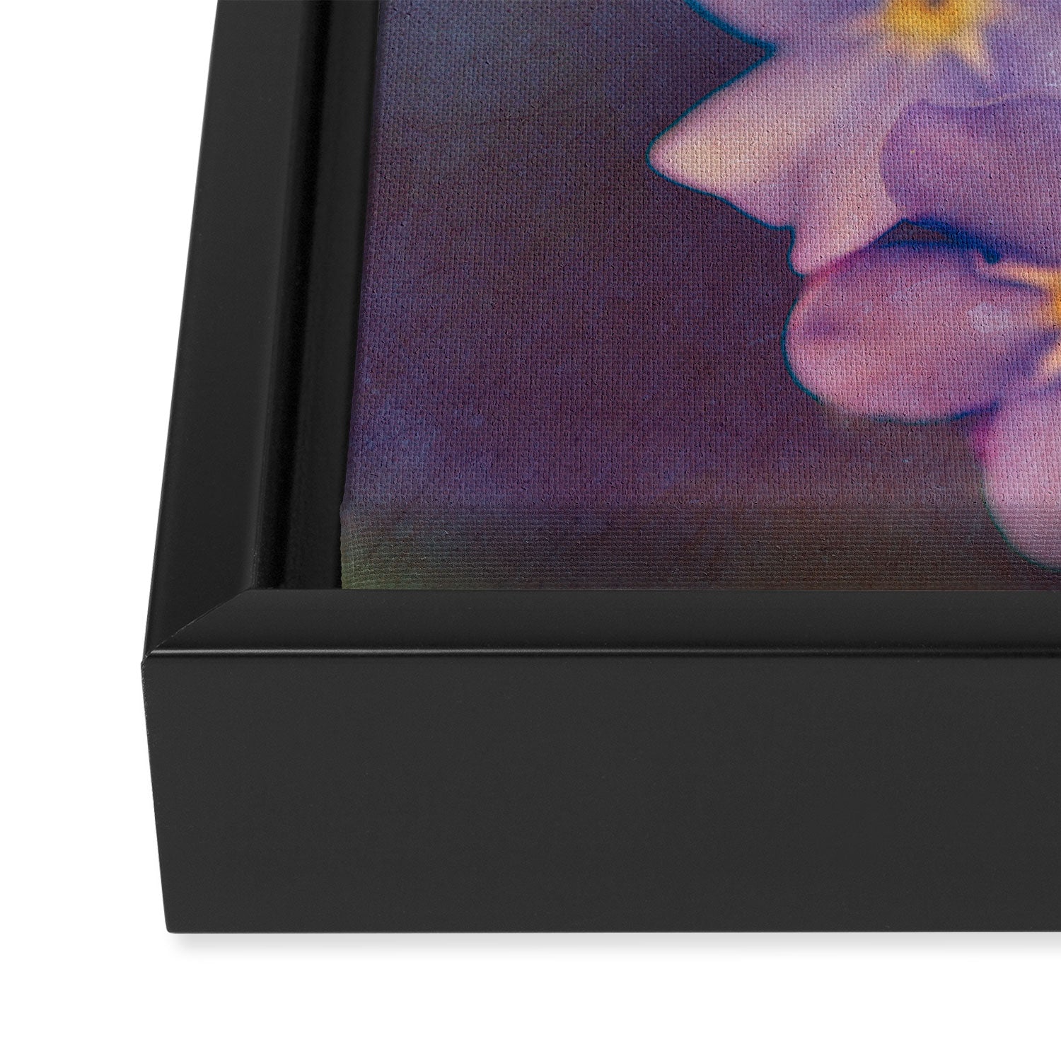 Forget Me Not Framed Canvas Print Gallery Image 3