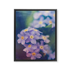 Forget Me Not Framed Canvas Print Gallery Image 6