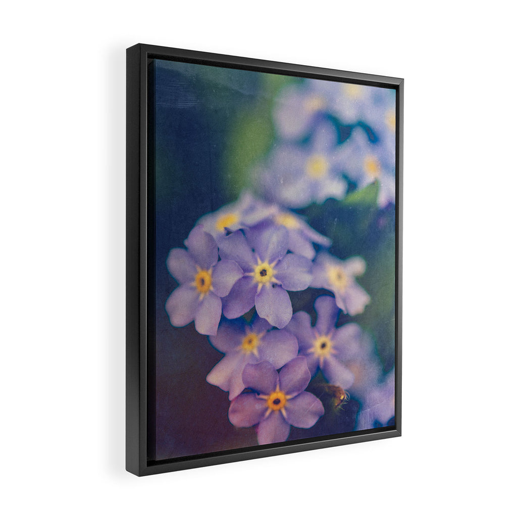 Forget Me Not Framed Canvas Print Gallery Image 2