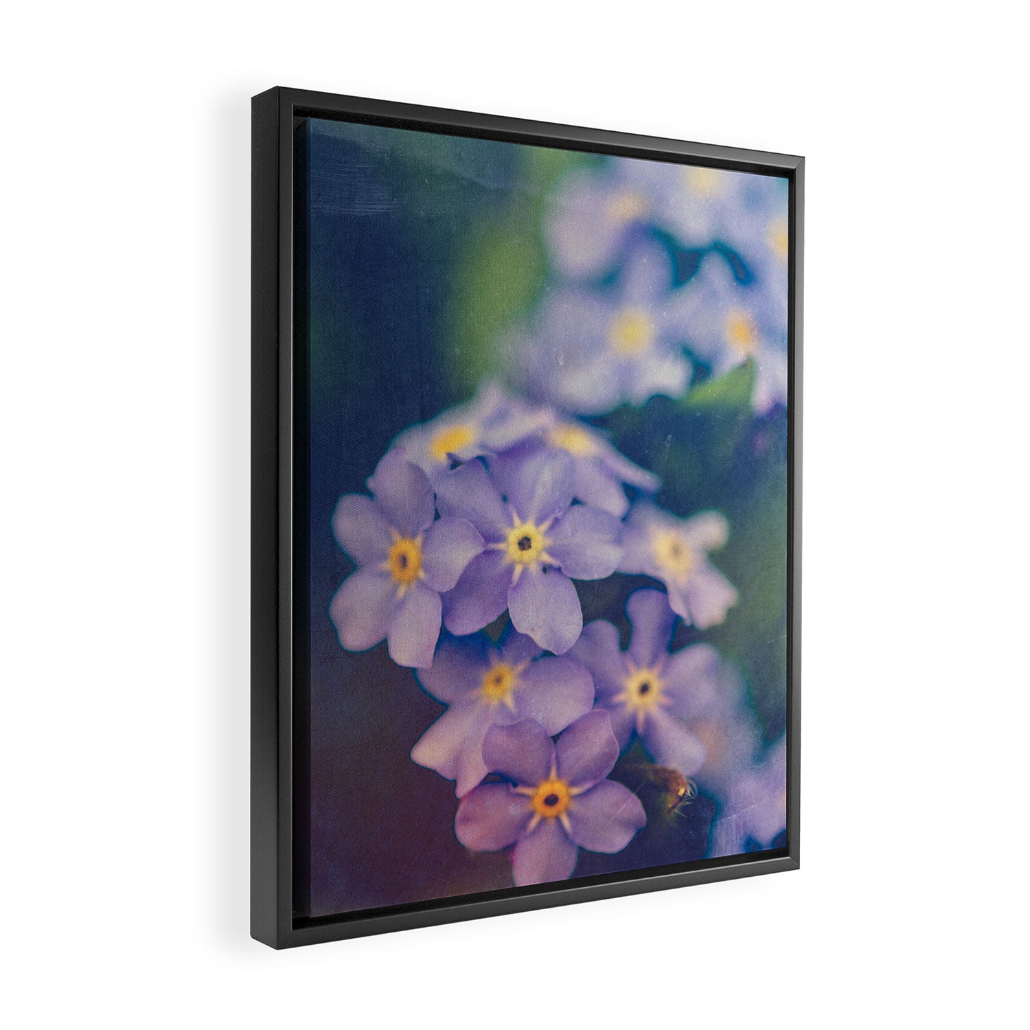 Forget Me Not Framed Canvas Print Gallery Image 2