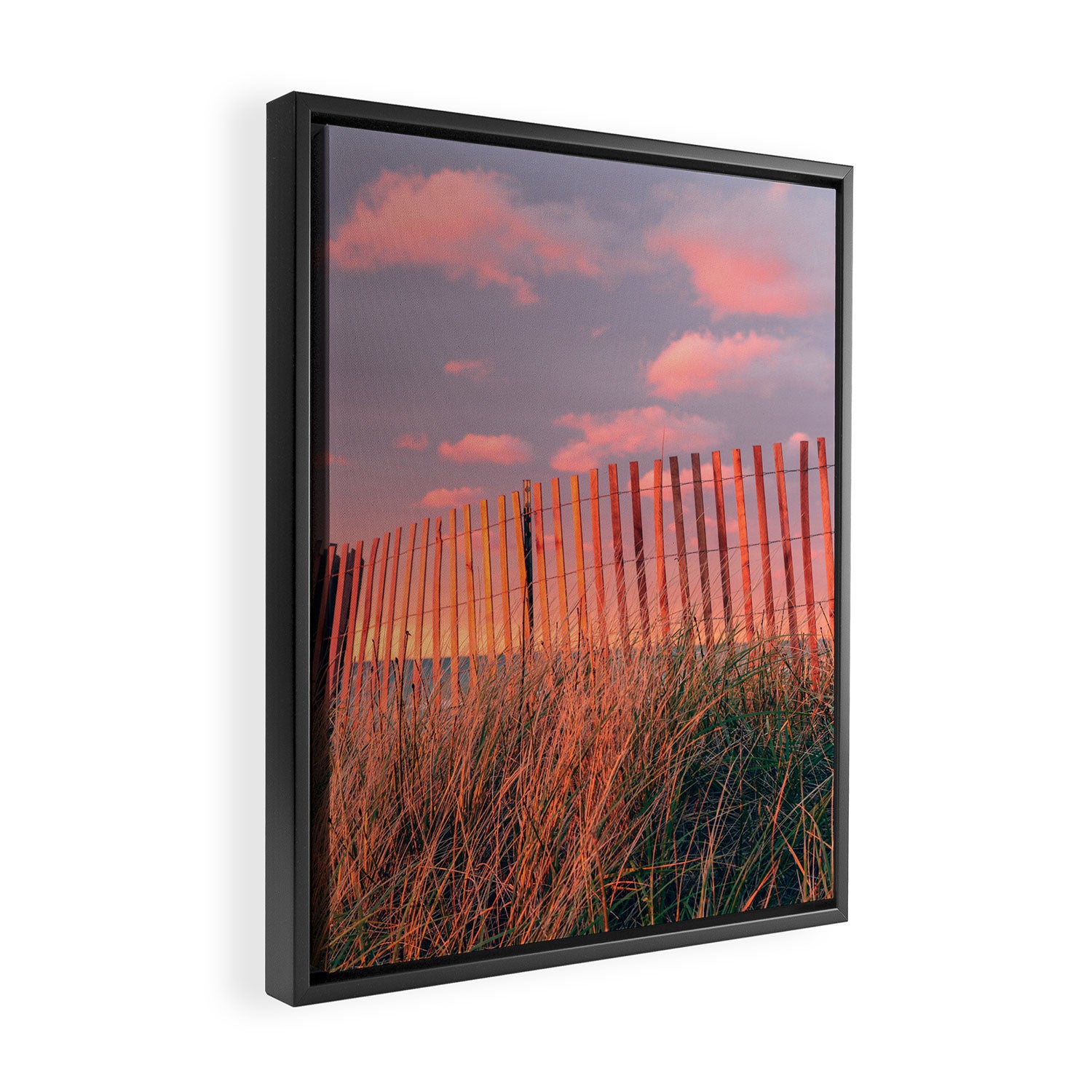 Forgotten Beach Framed Canvas Print Gallery Image 2