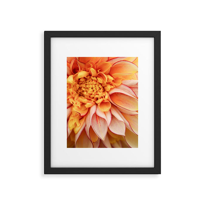 Free Spirit - Yellow Dahlia Flower Photo - Modern Botanical Art Framed Art Print Gallery Image 1