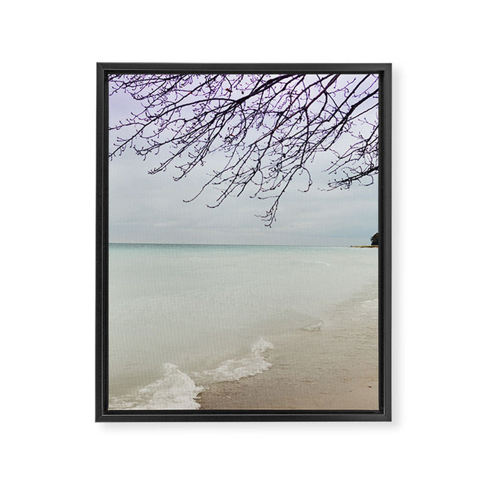 Freedom Framed Canvas Print Gallery Image 1