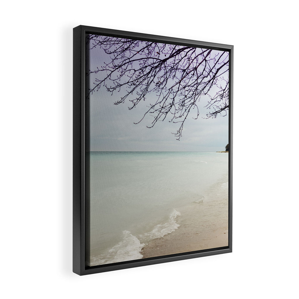 Freedom Framed Canvas Print Gallery Image 2