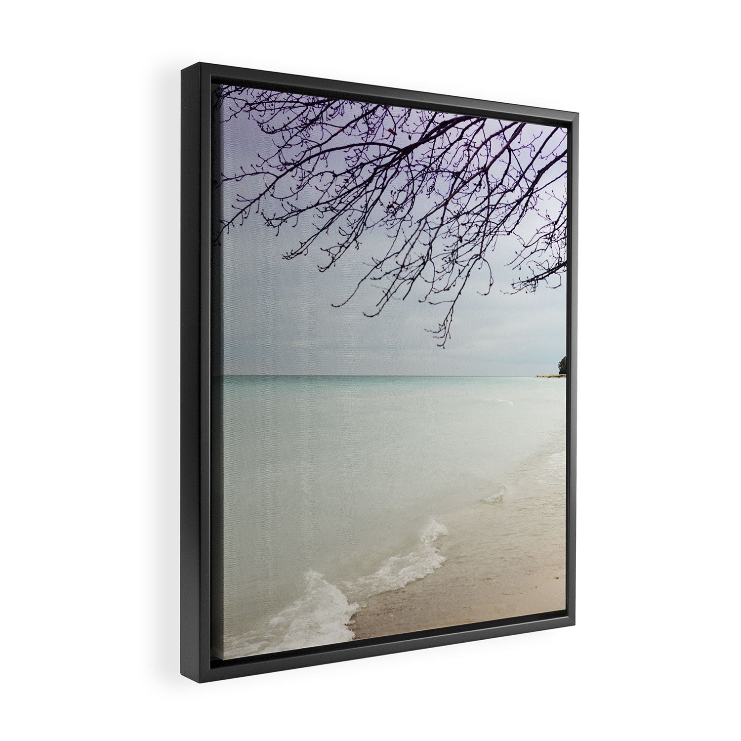 Freedom Framed Canvas Print Gallery Image 2