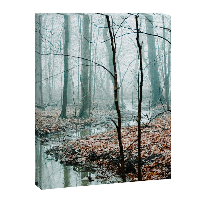 Gather up Your Dreams Canvas Print Gallery Image 1