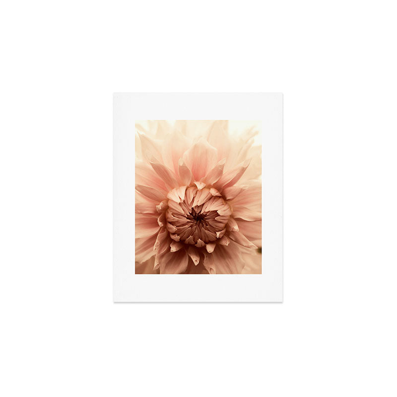 Goddess - Dahlia Botanical - Flower photograph - Modern Floral Art Print Gallery Image 1