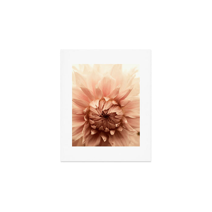 Goddess - Dahlia Botanical - Flower photograph - Modern Floral Art Print Gallery Image 1