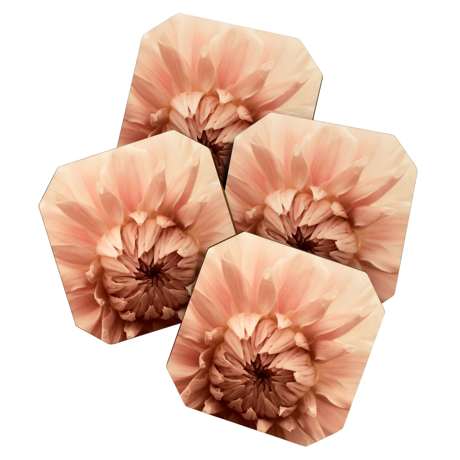 Goddess - Dahlia Botanical - Flower photograph - Modern Floral Coaster Gallery Image 1