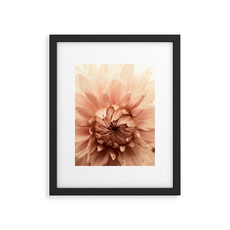 Goddess - Dahlia Botanical - Flower photograph - Modern Floral Framed Art Print Gallery Image 5