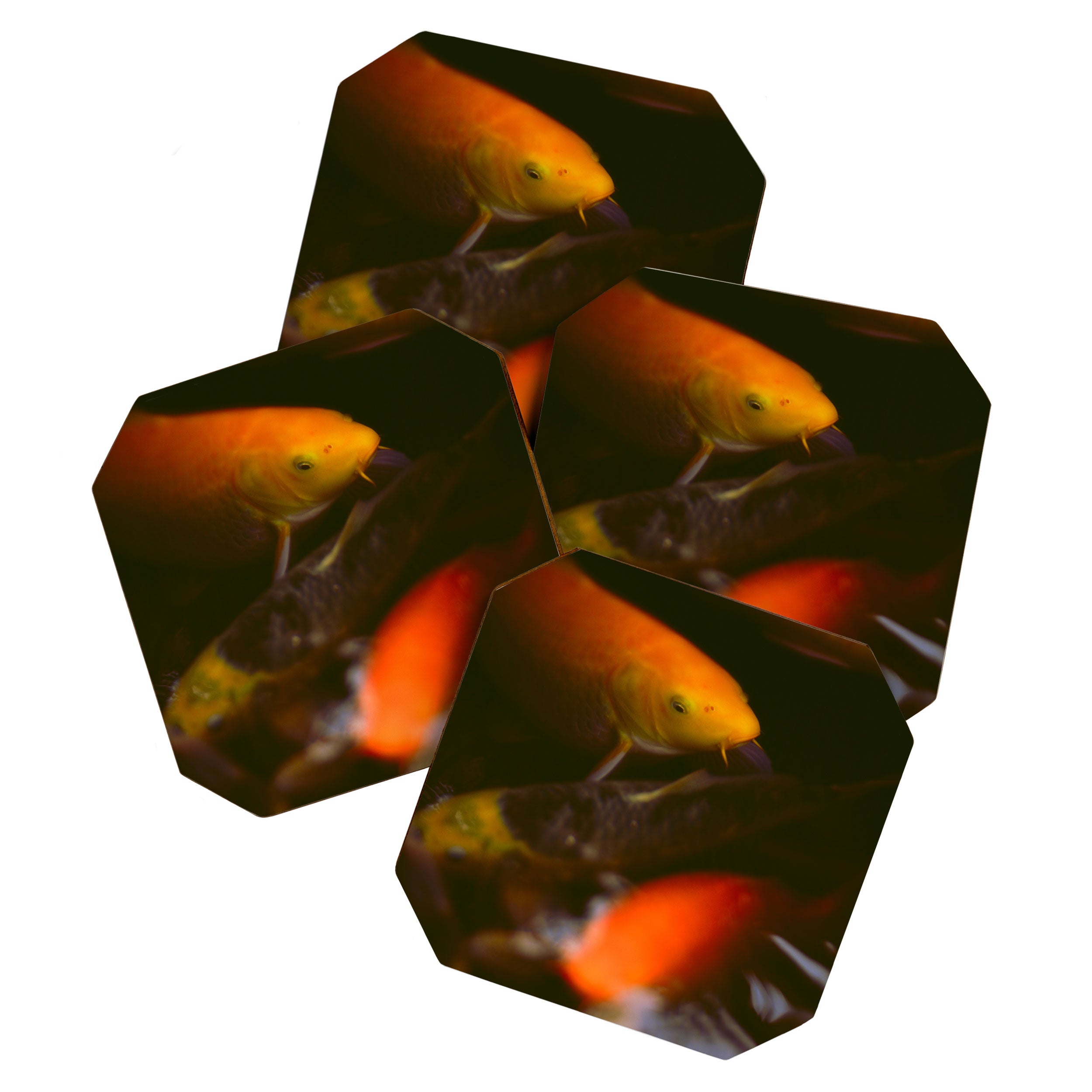 Goldfish and Koi in Summer Pond Coaster Gallery Image 1