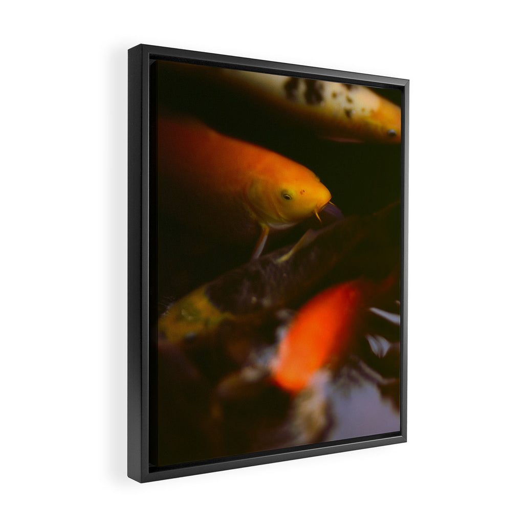 Goldfish and Koi in Summer Pond Framed Canvas Print Gallery Image 2