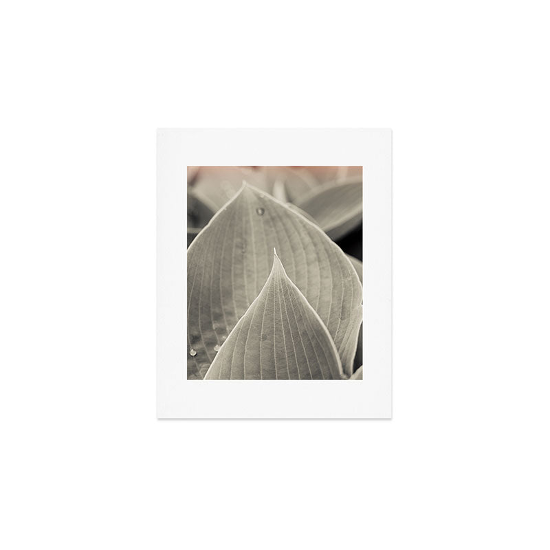 Gray Leaf Line Study Botanical Art Print Gallery Image 1