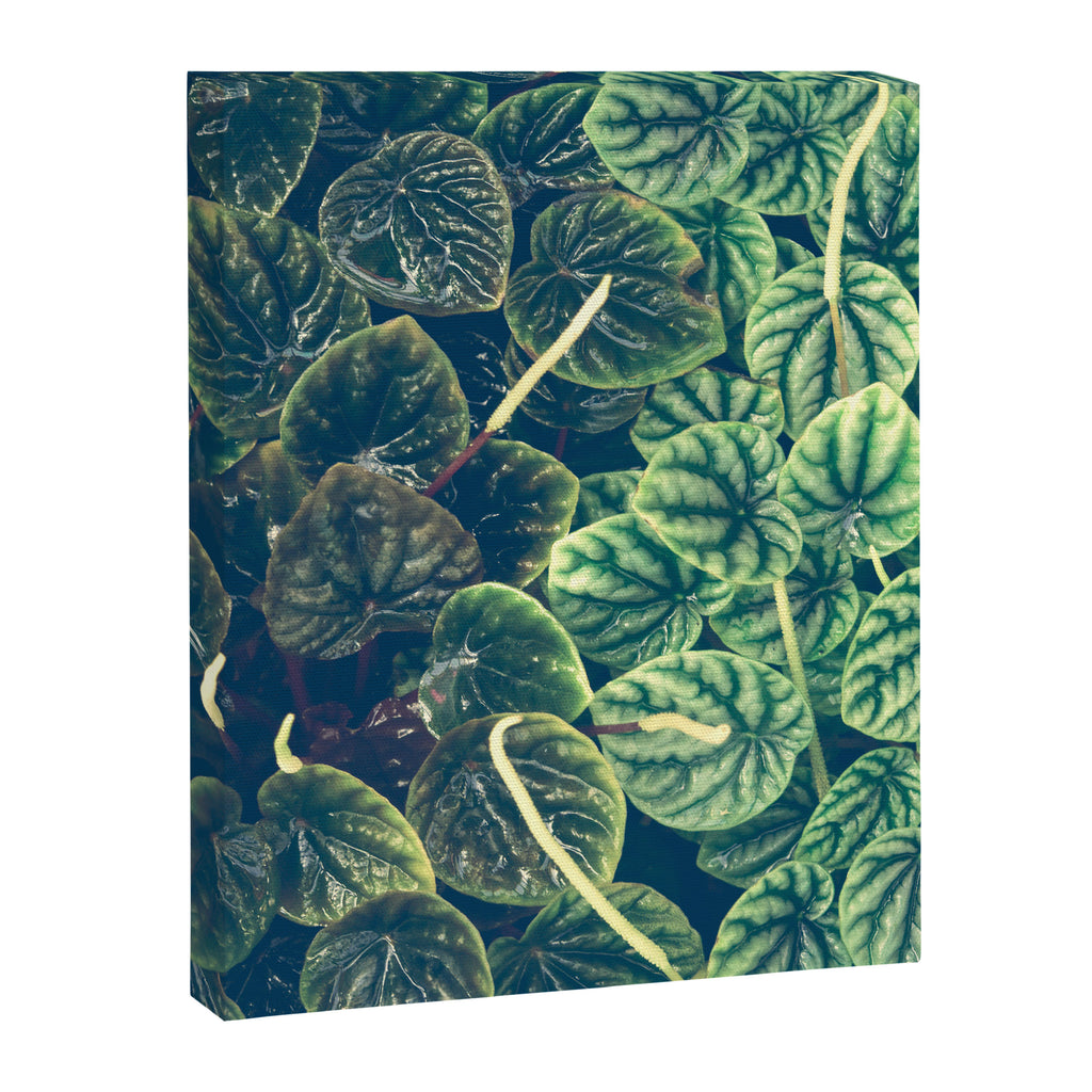 Green Leaves Canvas Print Gallery Image 6