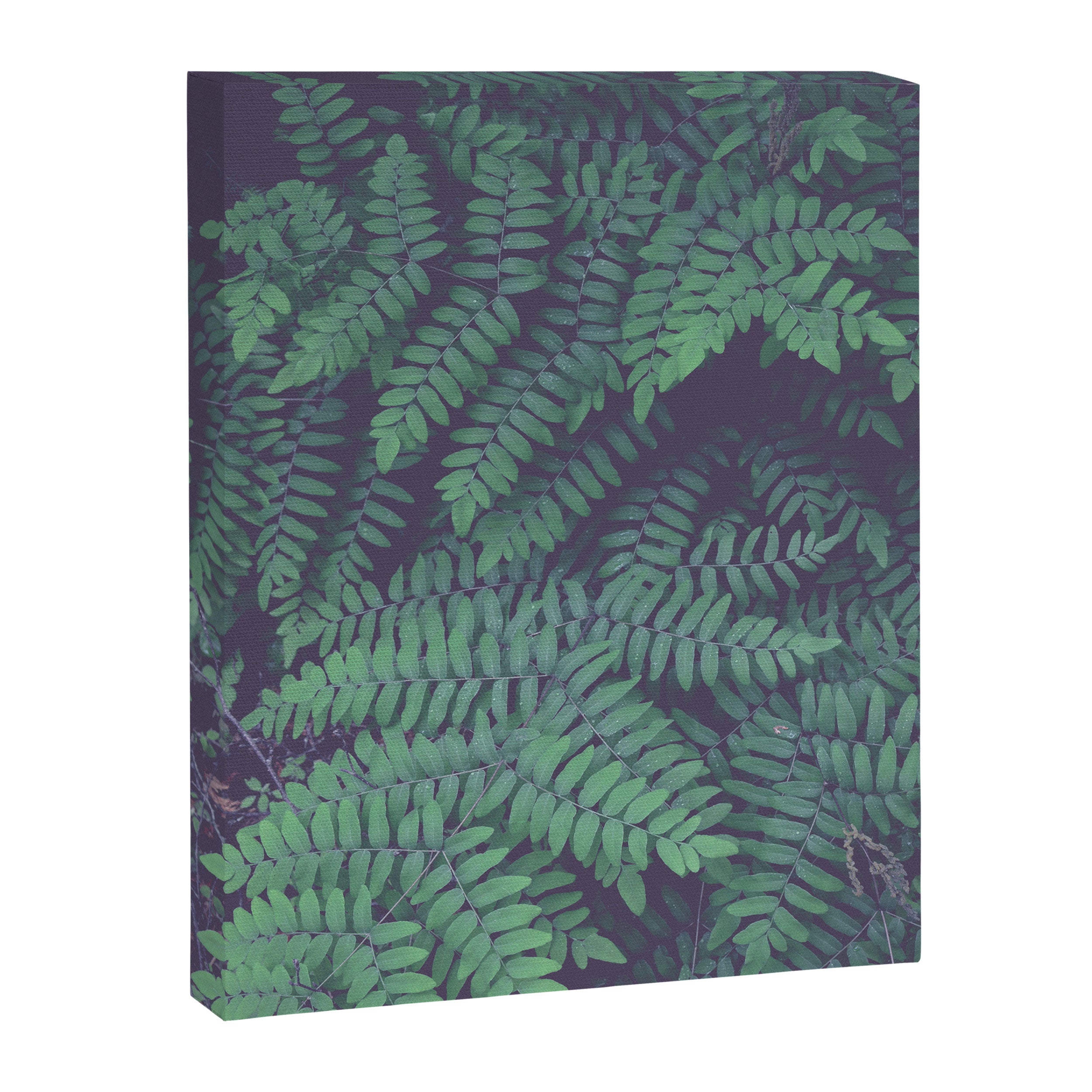Green Woodland Fern forest leaf nature photograph Canvas Print Gallery Image 6