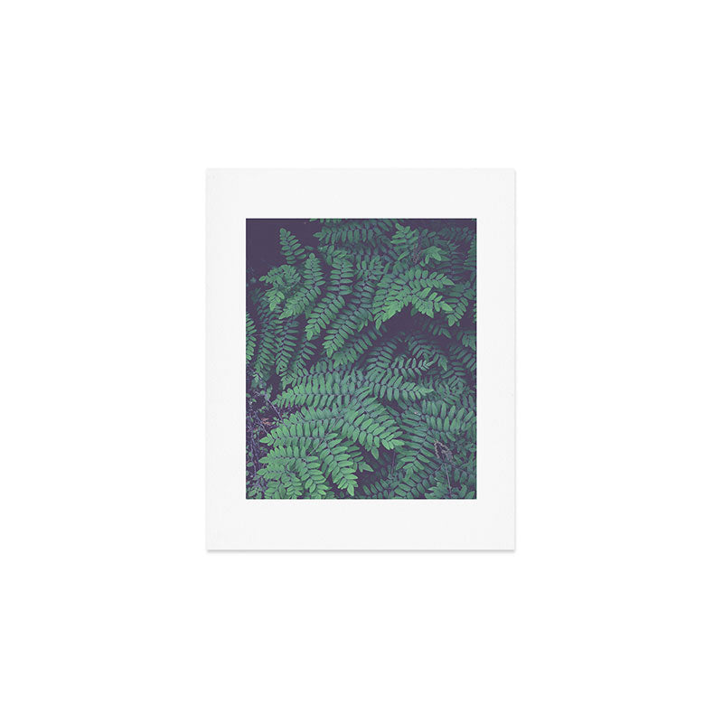 Green Woodland Fern forest leaf nature photograph Art Print Gallery Image 1