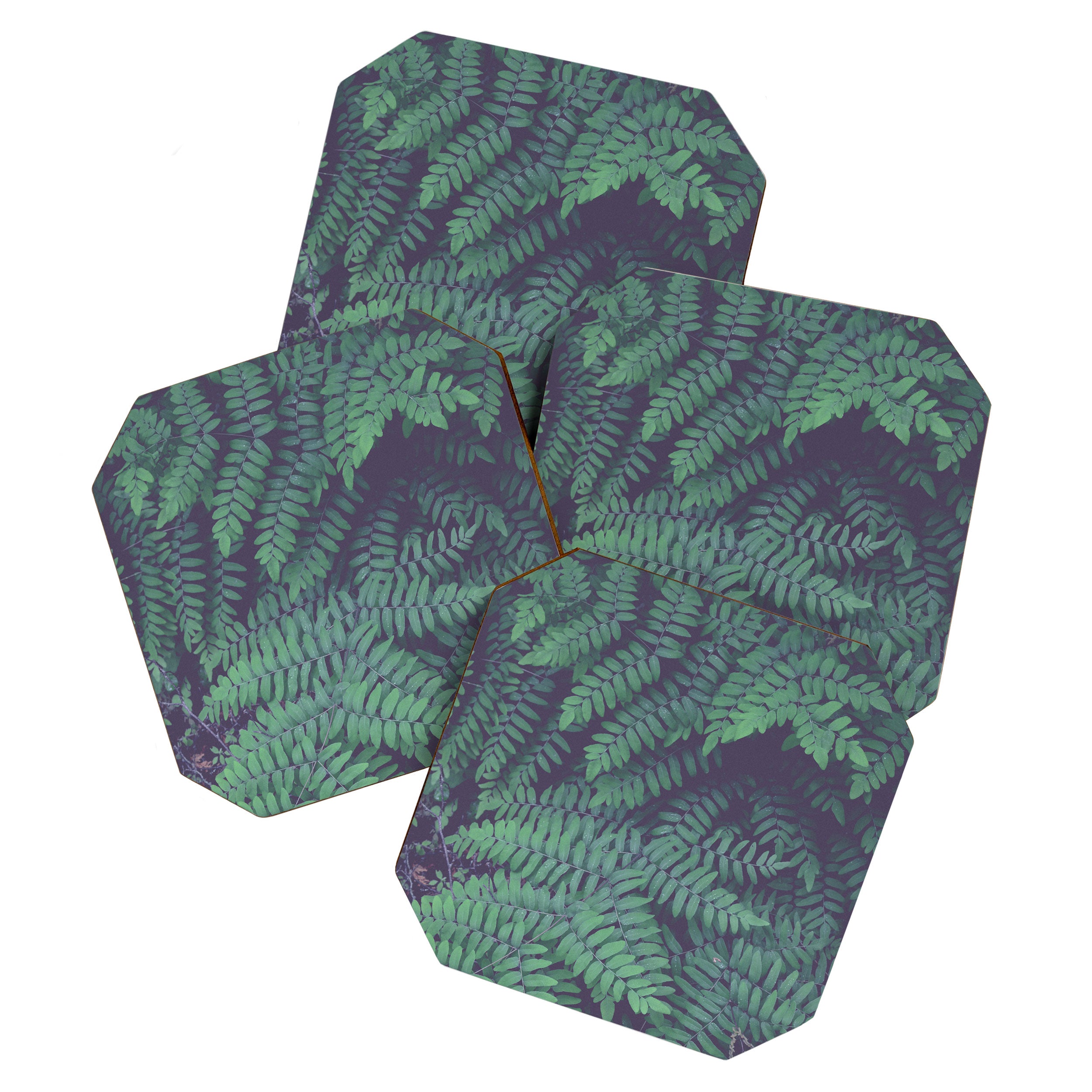 Green Woodland Fern forest leaf nature photograph Coaster Gallery Image 1