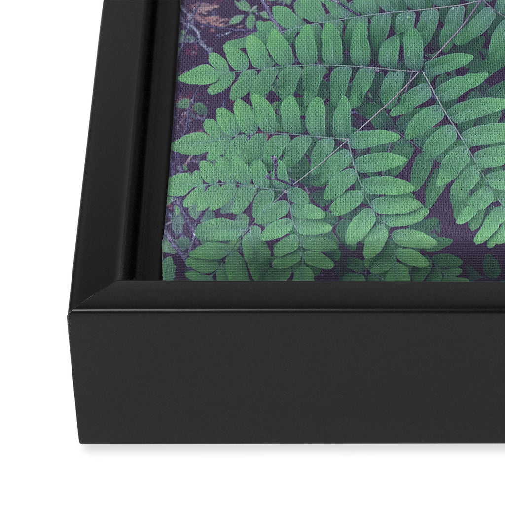 Green Woodland Fern forest leaf nature photograph Framed Canvas Print Gallery Image 3