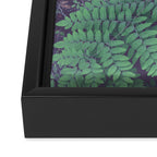 Green Woodland Fern forest leaf nature photograph Framed Canvas Print Gallery Image 3