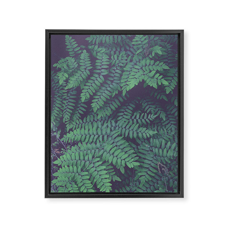 Green Woodland Fern forest leaf nature photograph Framed Canvas Print Gallery Image 6