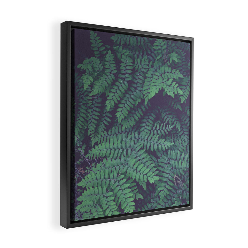Green Woodland Fern forest leaf nature photograph Framed Canvas Print Gallery Image 2
