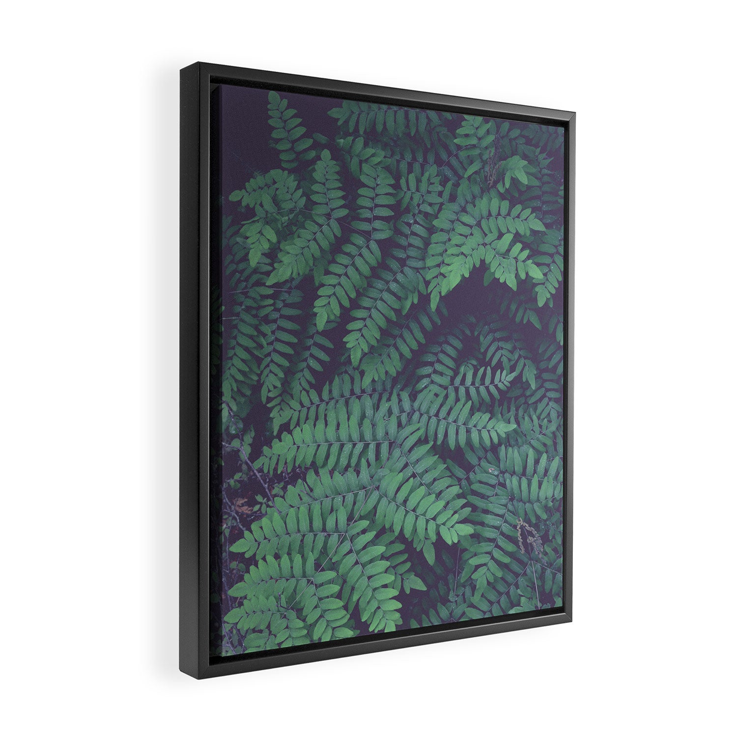 Green Woodland Fern forest leaf nature photograph Framed Canvas Print Gallery Image 2