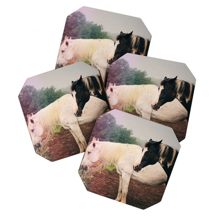 Guardian Coaster Gallery Image 1