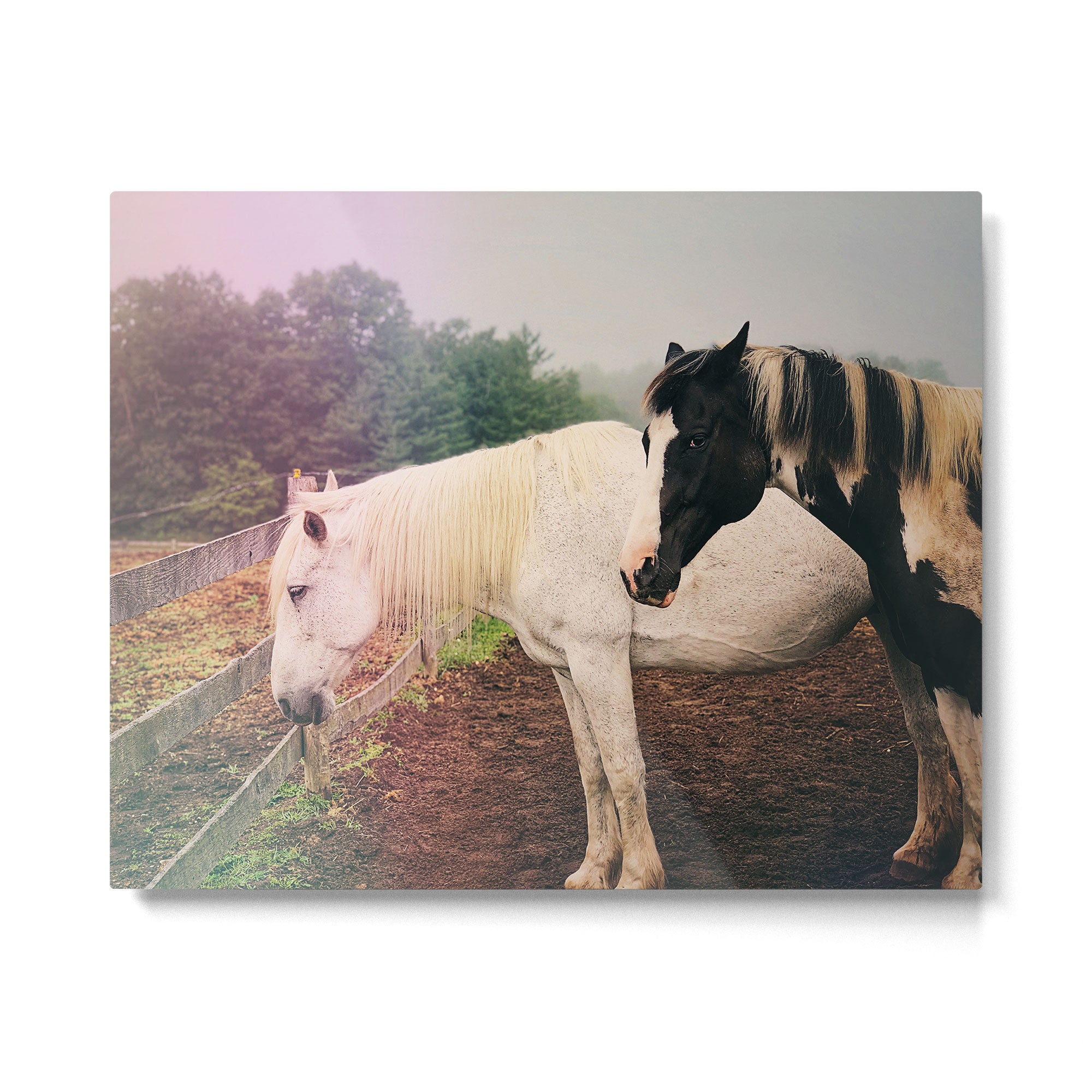 Guardian Metal Print Gallery Image 4