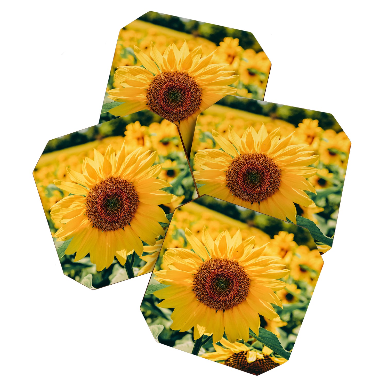 Happy Little Sunflowers Coaster Gallery Image 1