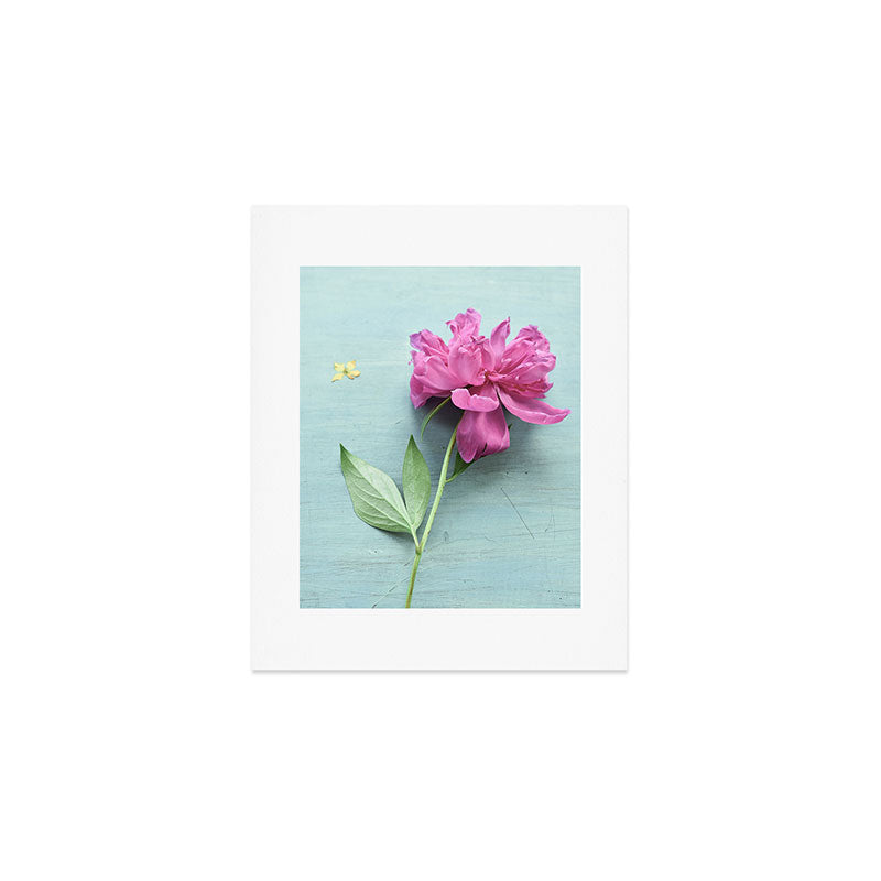 Happy Peony spring still life flower photography Art Print Gallery Image 1
