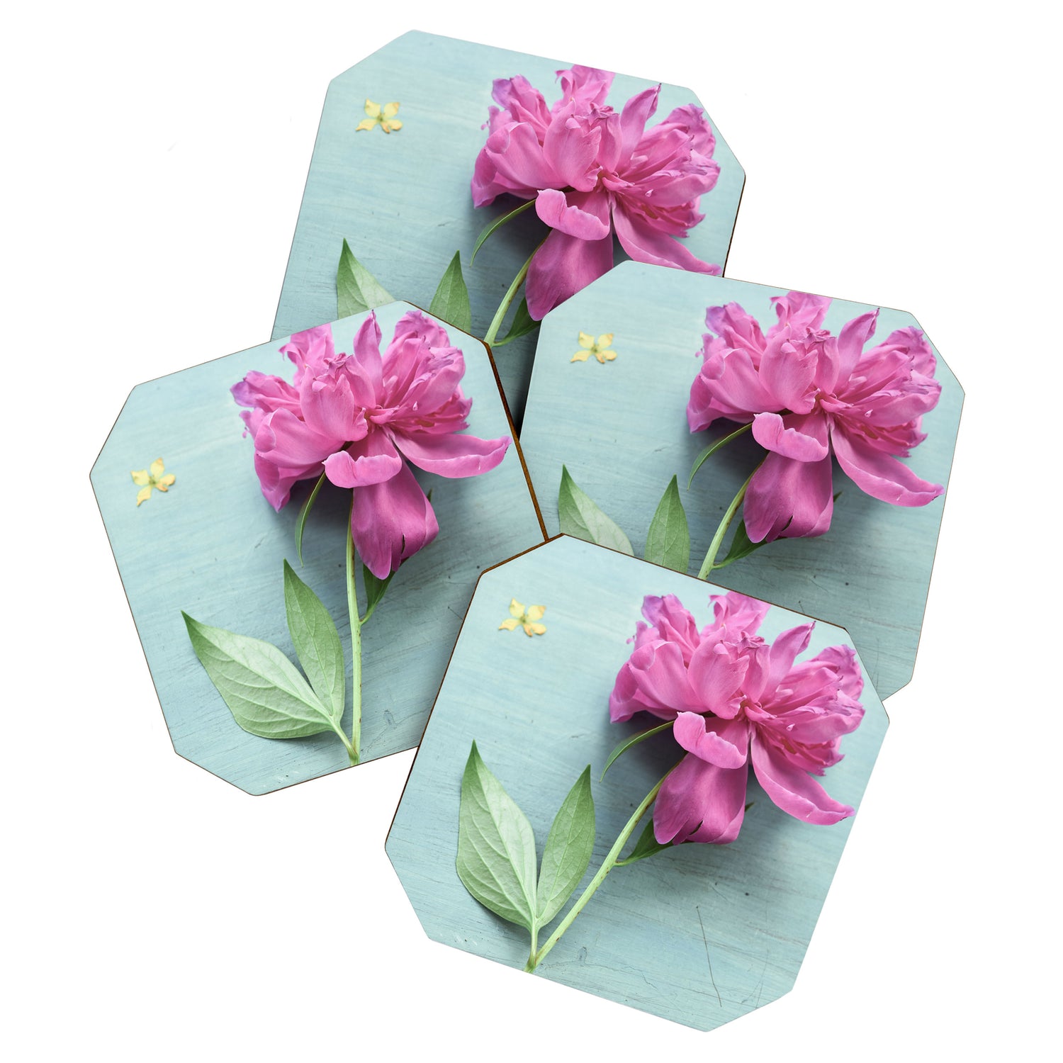 Happy Peony spring still life flower photography Coaster Gallery Image 1