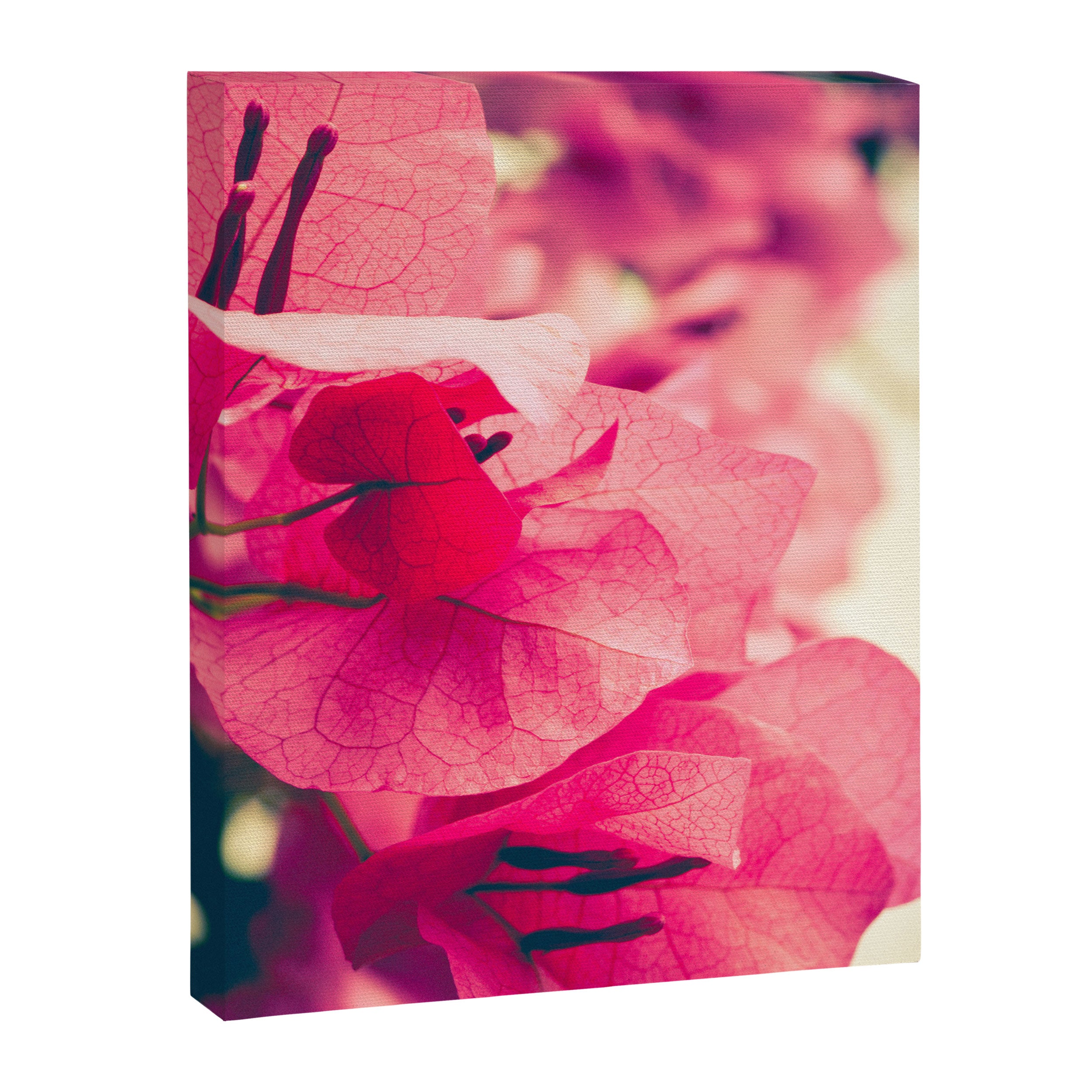 Happy Pink Flowers Canvas Print Gallery Image 6