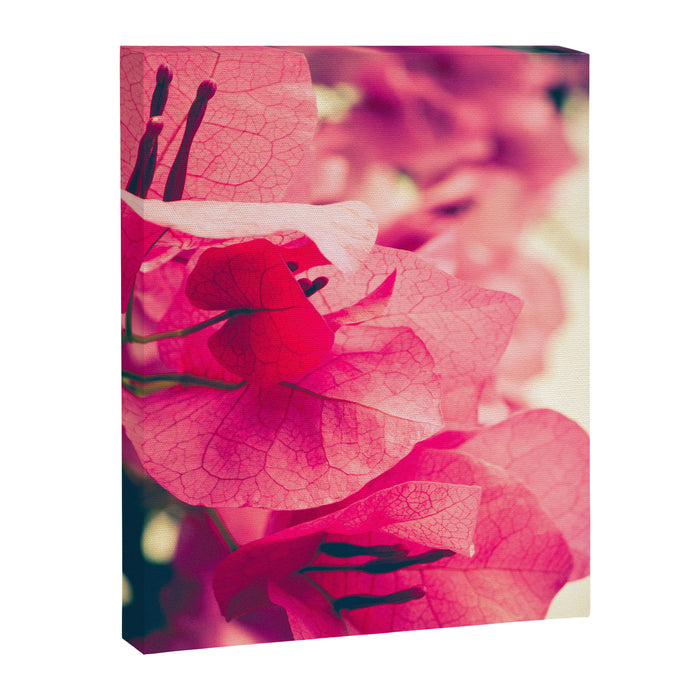Happy Pink Flowers Canvas Print Gallery Image 1