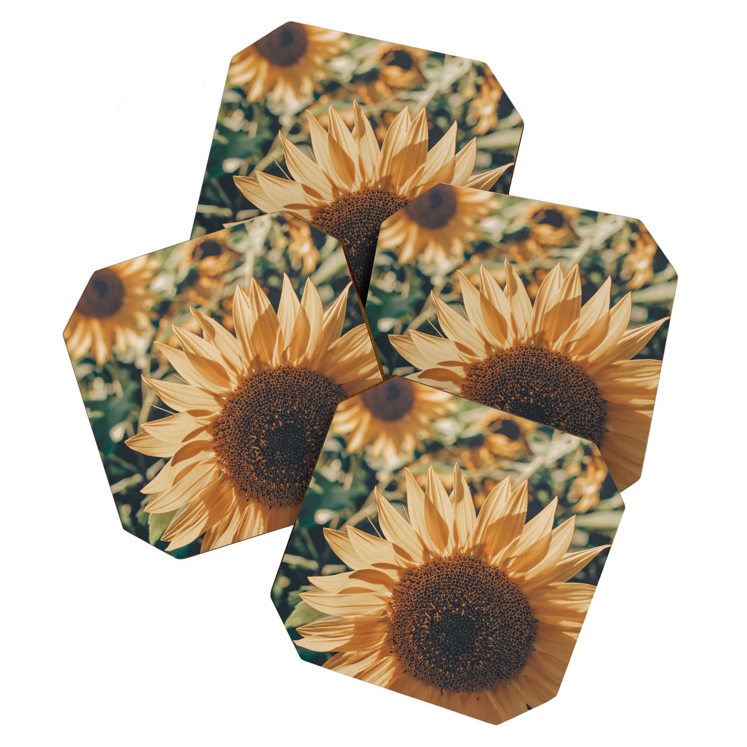 Happy Sunflower Field Coaster Gallery Image 1