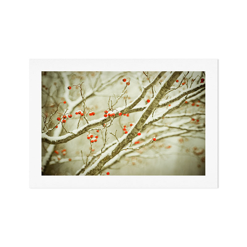 Hawthorne I Art Print Gallery Image 1