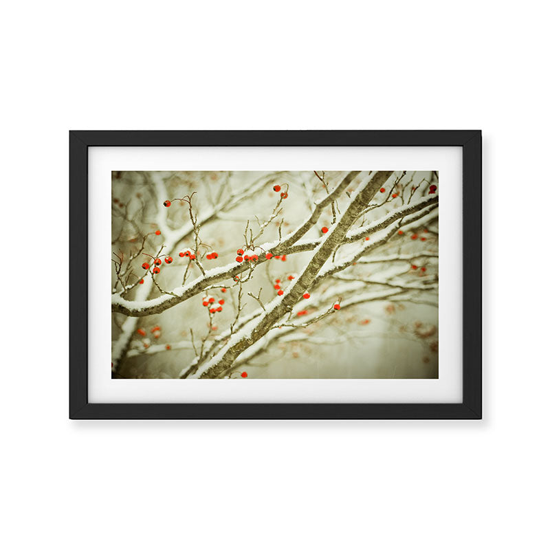 Hawthorne I Framed Art Print Gallery Image 2