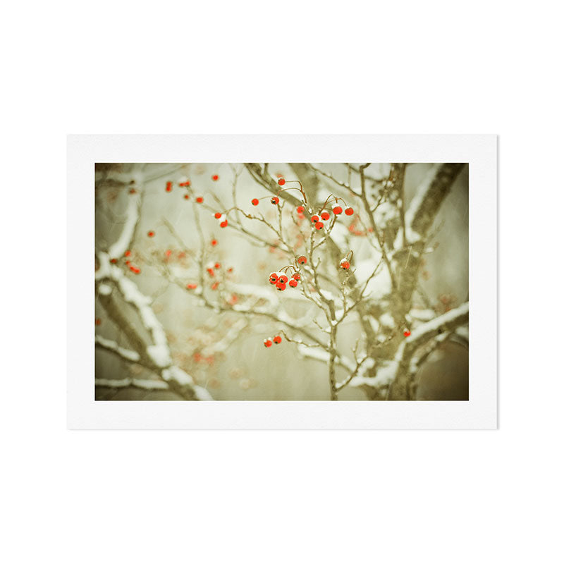 Hawthorne II Art Print Gallery Image 1